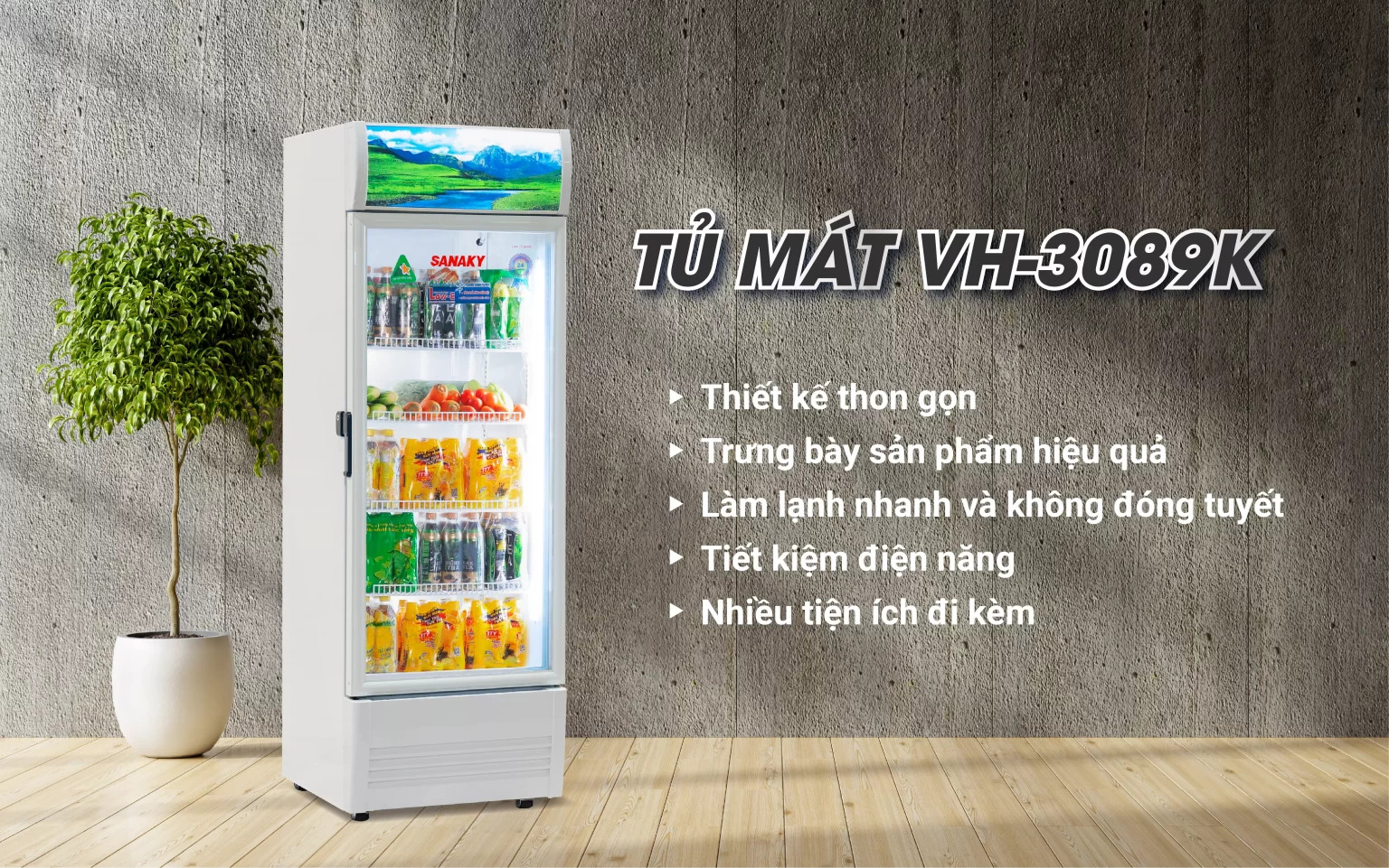 tu-mat-sanaky-vh-3089k