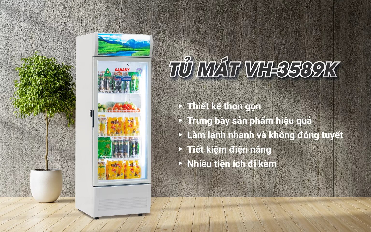 tu-mat-sanaky-vh-3589k