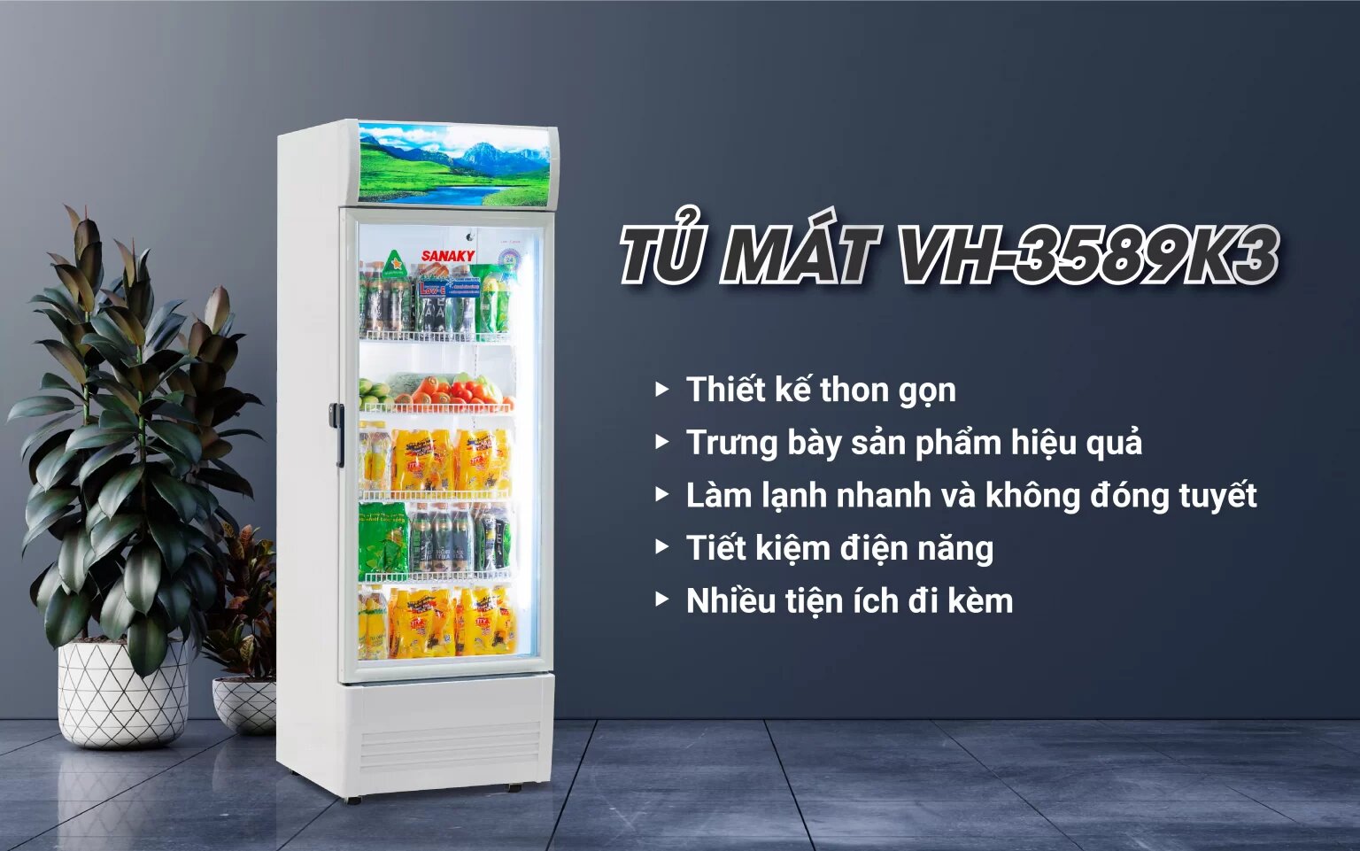 tu-mat-sanaky-vh-3589k3