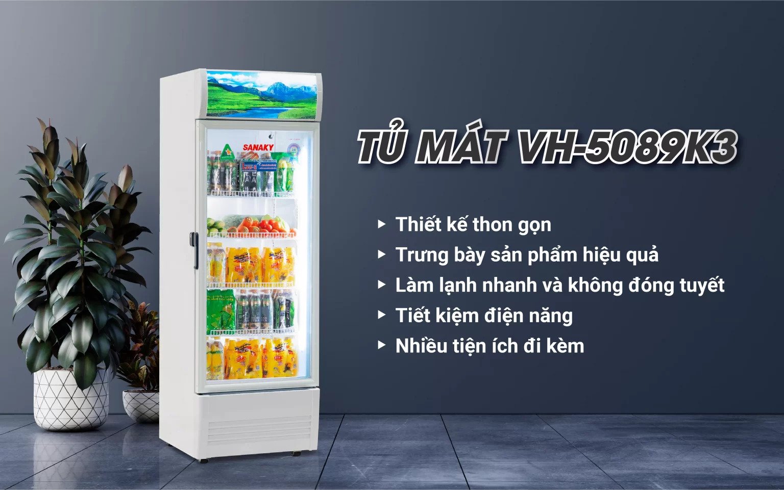 tu-mat-sanaky-vh-5089k3